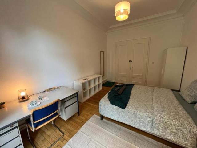 Chambres Privees -Private Room- Dans Un Spacieux Appartement - 100M2 Centre Proche Gare Mulhouse Eksteriør bilde