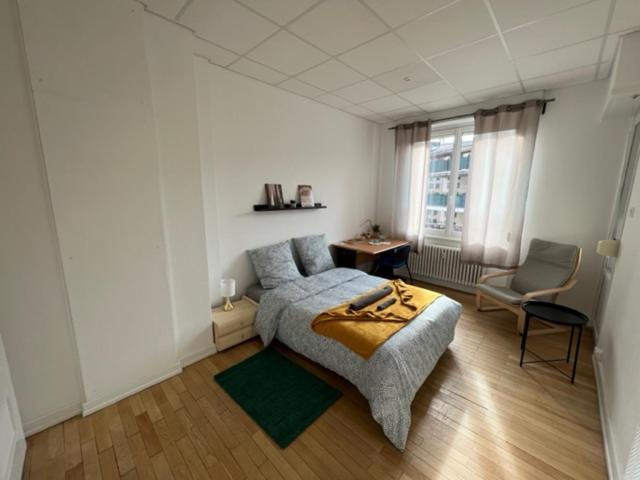 Chambres Privees -Private Room- Dans Un Spacieux Appartement - 100M2 Centre Proche Gare Mulhouse Eksteriør bilde